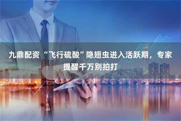 九鼎配资 “飞行硫酸”隐翅虫进入活跃期,专家提醒千万别拍打