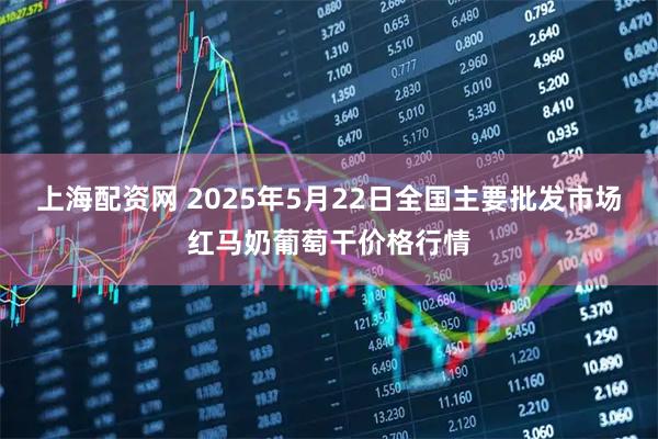 上海配资网 2025年5月22日全国主要批发市场红马奶葡萄干价格行情